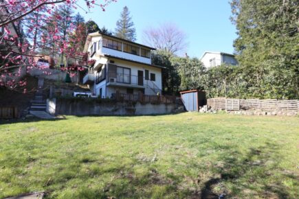 緑豊かなグリーンヒル。ドッグランで愛犬と過ごす家