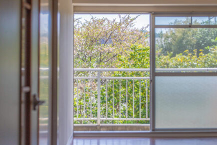 木と風、さらさらと踊るように