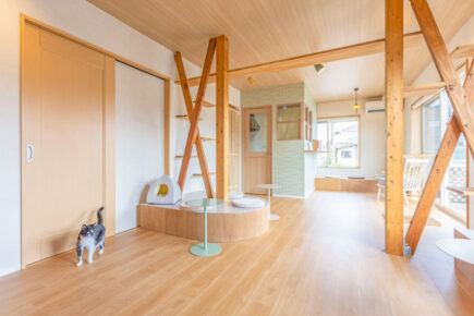秦野市堀川に保護猫カフェ「coma terrace」がオープンしました